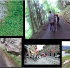 Cycling Central Switzerland